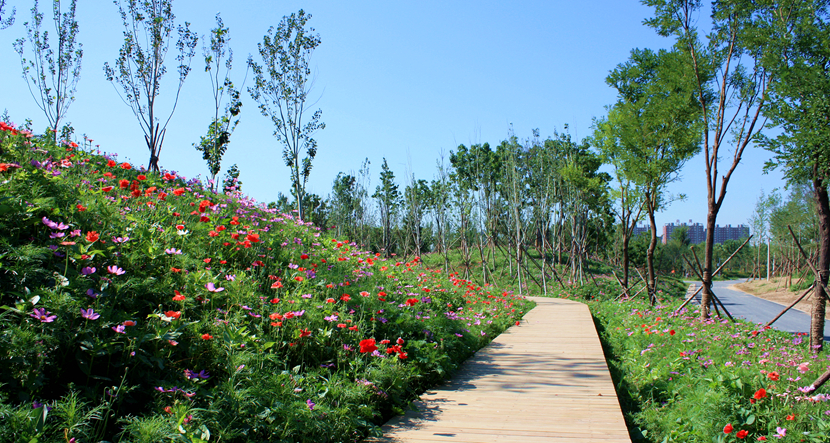 北京·環(huán)渤海高端總部基地北部城市濕地公園